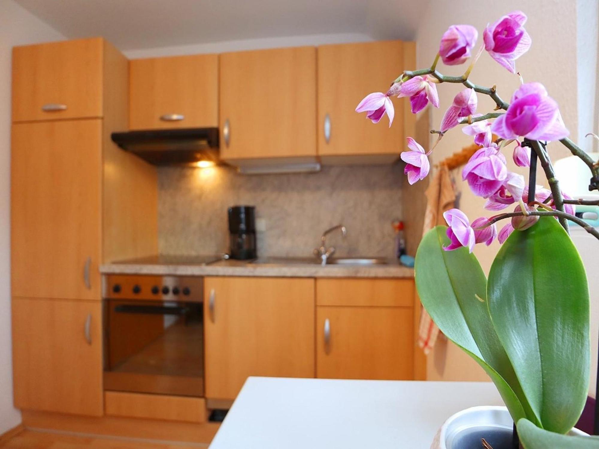Cozy Apartment In Schwenningen With Garden فيلينغن سشفايننغ المظهر الخارجي الصورة